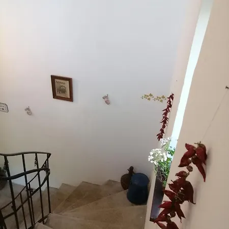 Kuria With Private Jacuzzi And Pool Apartment