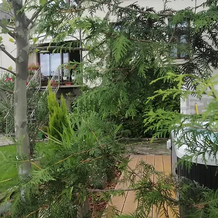 Kuria With Private Jacuzzi And Pool Apartment Budapest
