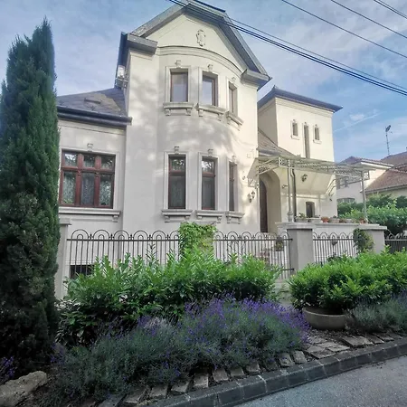 Kuria With Private Jacuzzi And Pool * Budapeşte