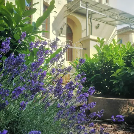 Kuria With Private Jacuzzi And Pool Apartment Budapest