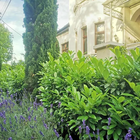 Kuria With Private Jacuzzi And Pool Budapest