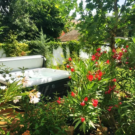 Kuria With Private Jacuzzi And Pool Apartment *