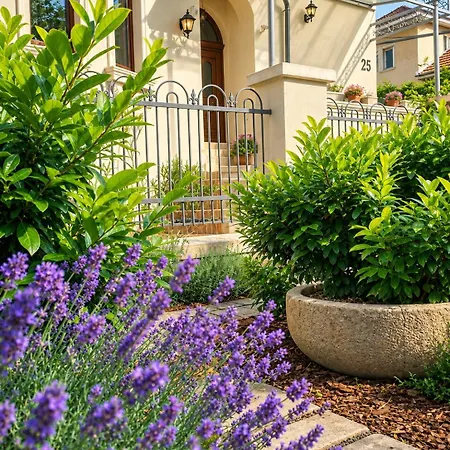شقة Kuria Private Wellness With Garden And Pool بودابست