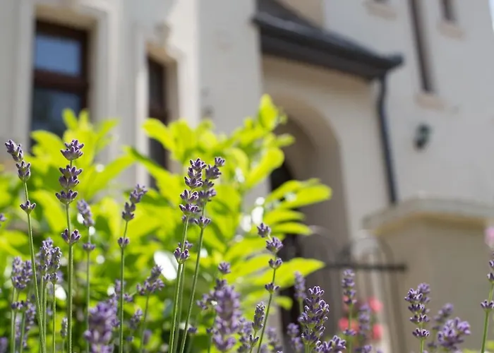 Kúria With Private Jacuzzi&pool