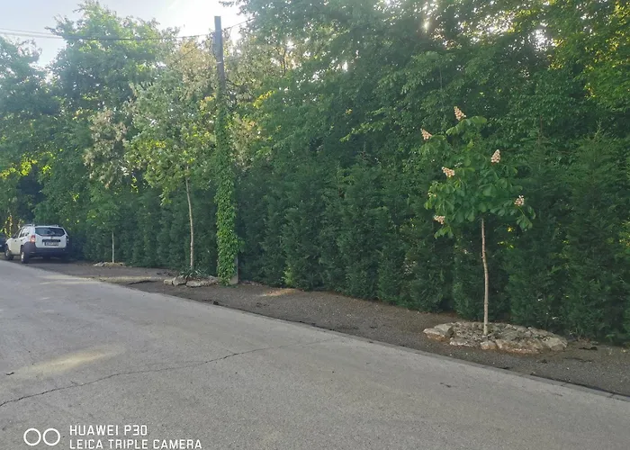 Kúria With Private Jacuzzi&pool Apartament