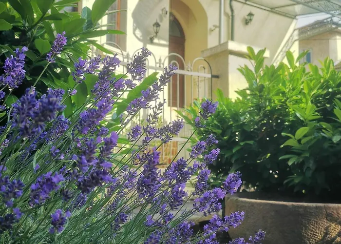 Kúria With Private Jacuzzi&pool Apartament Budapesta