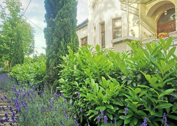 Kúria With Private Jacuzzi&pool Budapesta