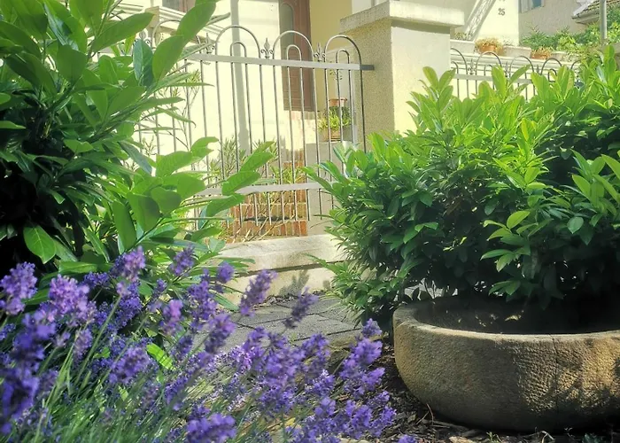 Kuria With Private Jacuzzi And Pool * Budapest